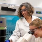 Micro Research, Macro Impact - Michigan Tech's Biomedical Micro-Devices Lab tackles huge medical questions through tiny cellular structures. The lab fosters student-led innovation in tissue engineering, cancer tracking, and toxic responses. Learn more at Michigan Tech News.