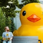 Explore Gateway Magazine - Whether talking code with a rubber duck, advancing accessible computing, or pioneering human-robot interaction, Huskies are tackling consequential technology and hard questions in the Age of AI. Meet them in the latest Gateway Magazine