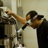 Graduate student looking at a speciman through microscope