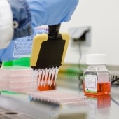Close view of a researcher using a multi-pippette transfering liquid into small vials
