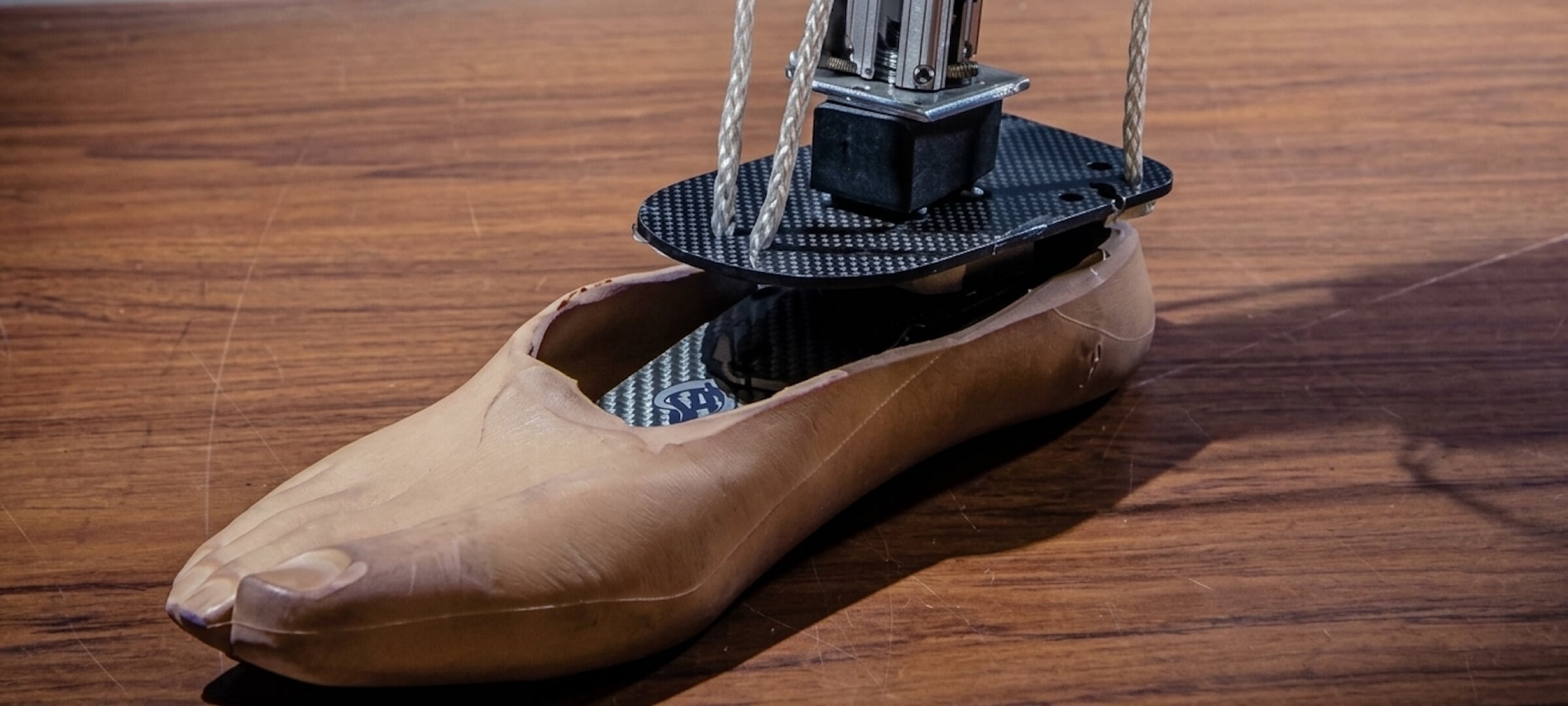 Prosthetic foot.