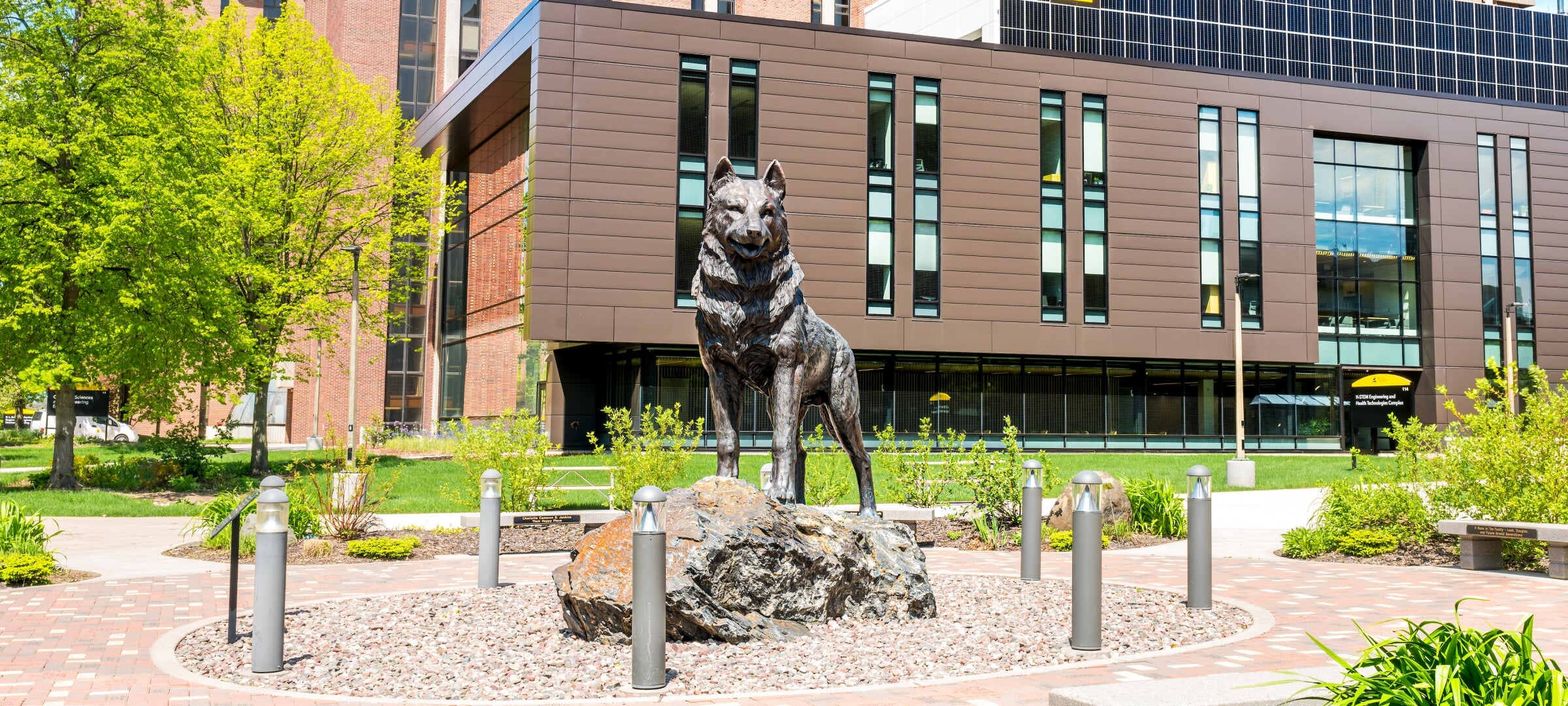 Husky statue on campus in the spring.