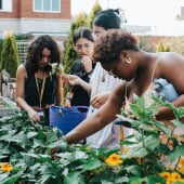 Students looking over a garden bed.