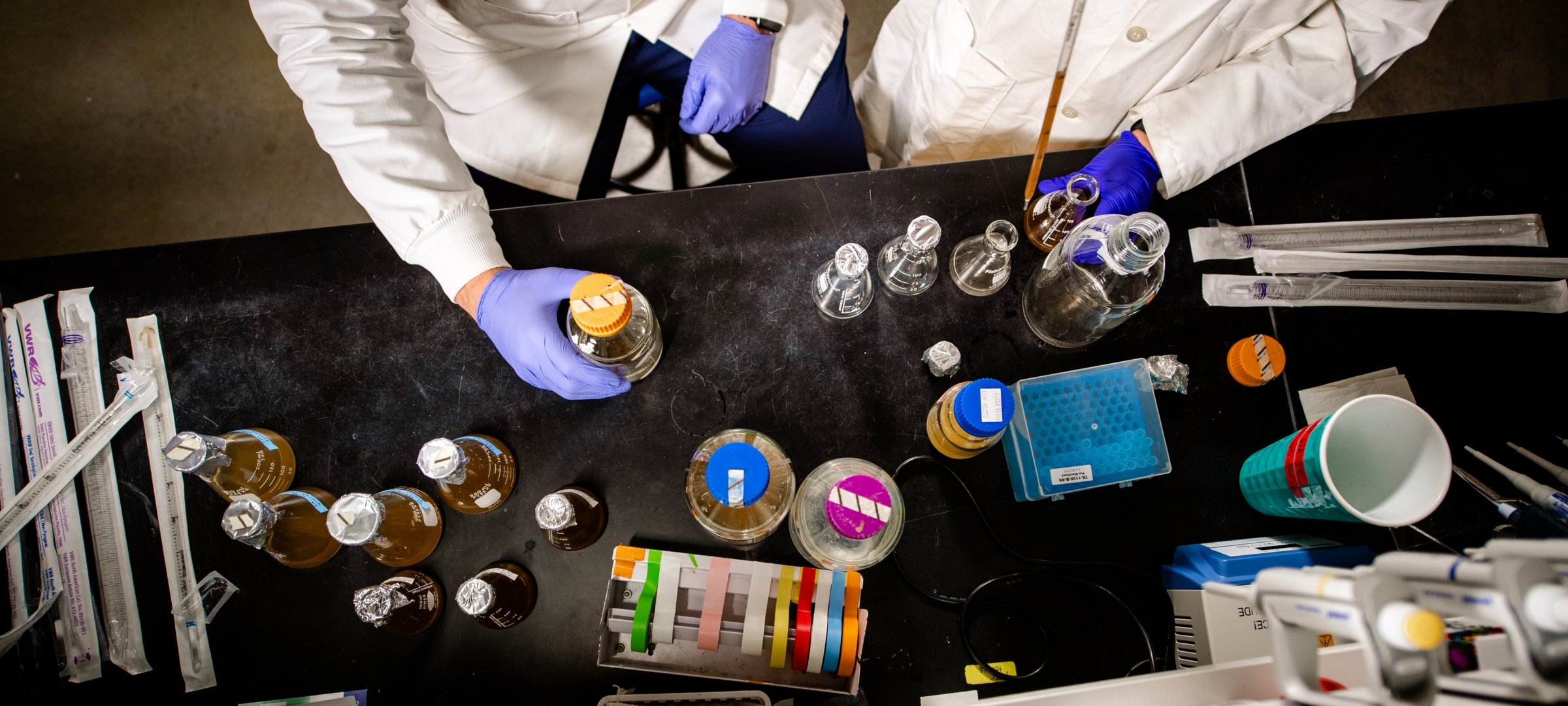 Two researchers with gloves handling chemicals on a lab table.