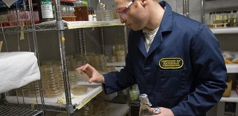 A man standing near a stack of petri dishes.