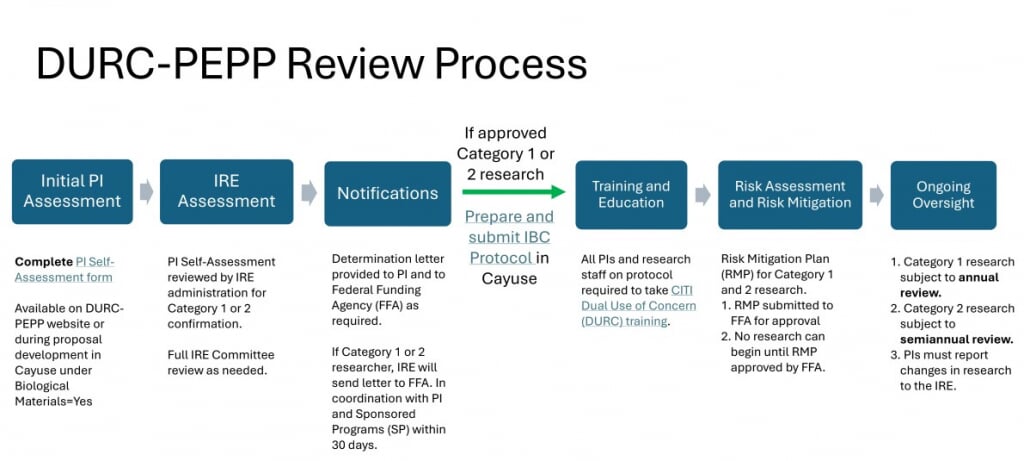 The first step is to complete an Initial PI Assessment form. Available on the DURC-PEPP website or during porposal development in Cayuse under Biological Materials. The PI Self Assessment is then reviewed by IRE administration for category 1 or 2 confirmation. Full IRE Committe revies as needed. Notifications are then send with a determination letter to the PI and to the Federal Funding Agency as required. If Category 1 or 2 research, IRE will send letter for FFA. In coordination with PI and Sponsored Programs within 30 days.  If approved, then all PI's and research staff on protocal are required to take CITI Dual Use of Concern training. Risk Mitigation Plan for category 1 and 2 research and finally ongoing oversight.  Category 1 research is subject to annual review. Category 2 research subject to semiannual review. PI's must report changes in research to IRE.