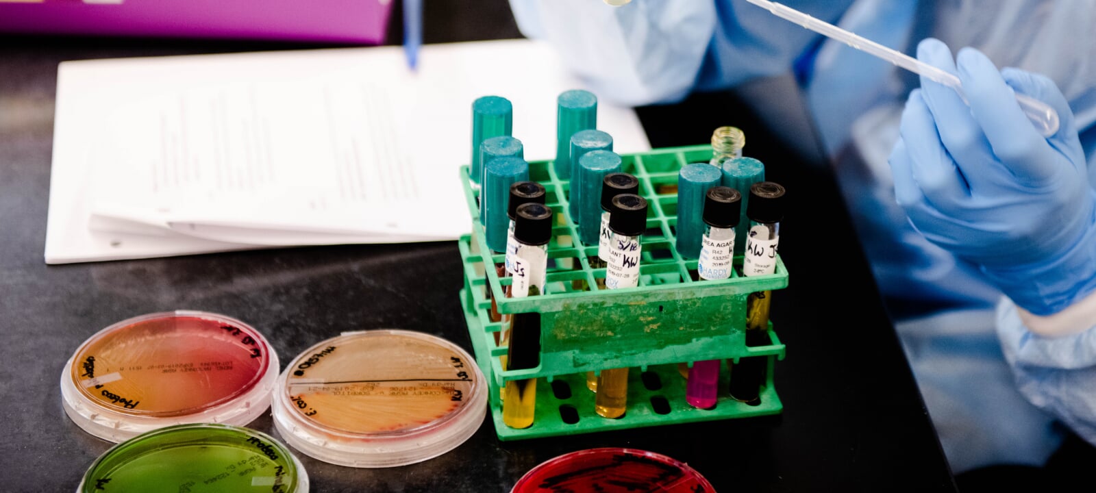 image of petri dishes and test tubes