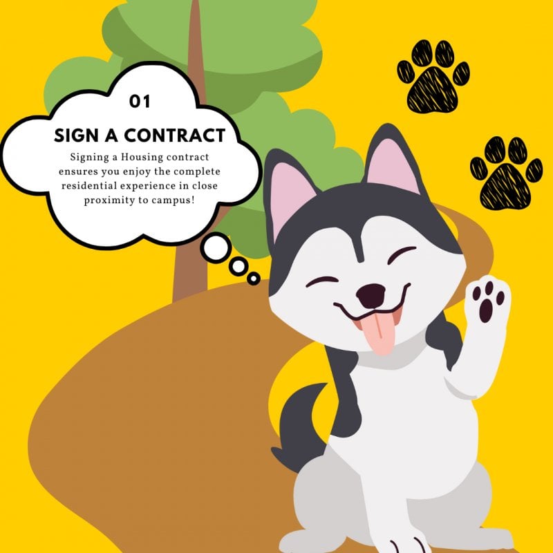 Step 1: Signing a Housing contract ensures you enjoy the complete residential experience in close proximity to campus! Cartoon husky waves on trail with sign behind it.