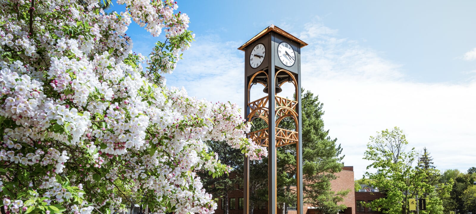 Spring break on campus with bench on the left side