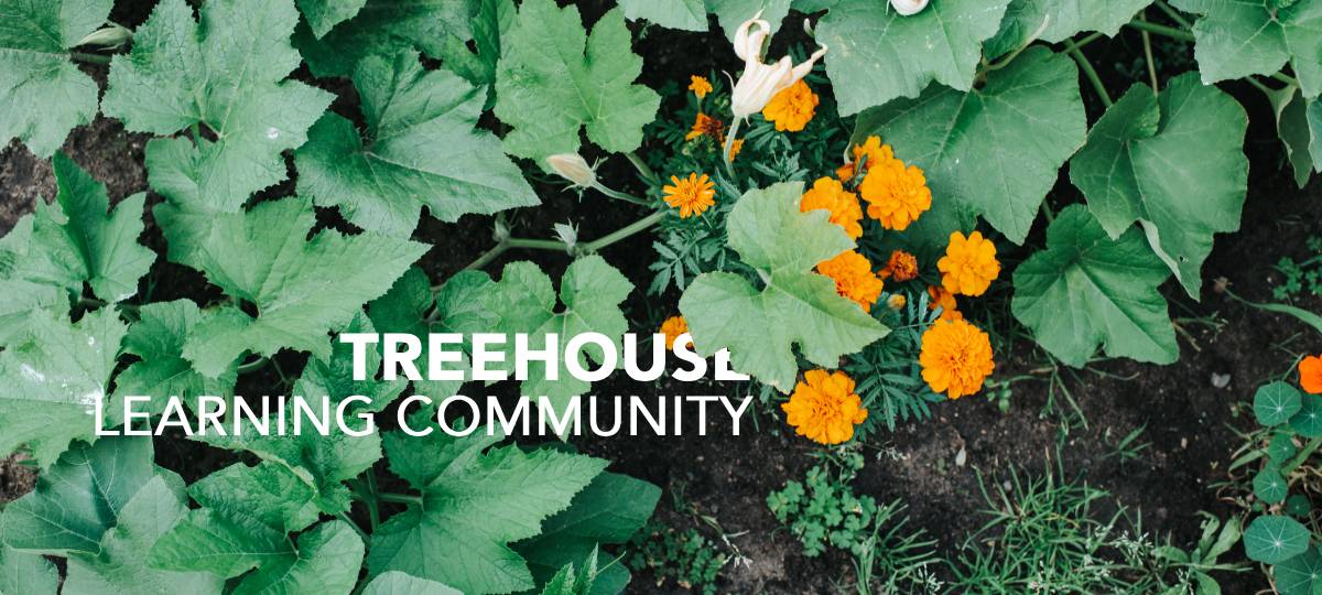 TreeHouse