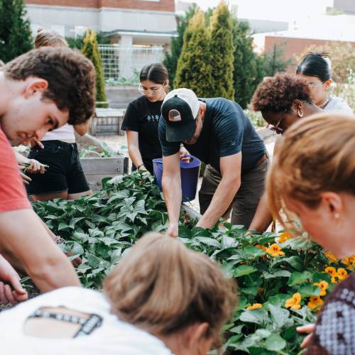 TreeHouse residents help tend and harvest the Wadsworth Campus Garden