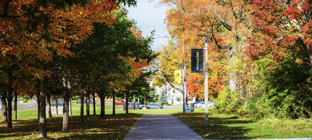 Image of campus fall leaves