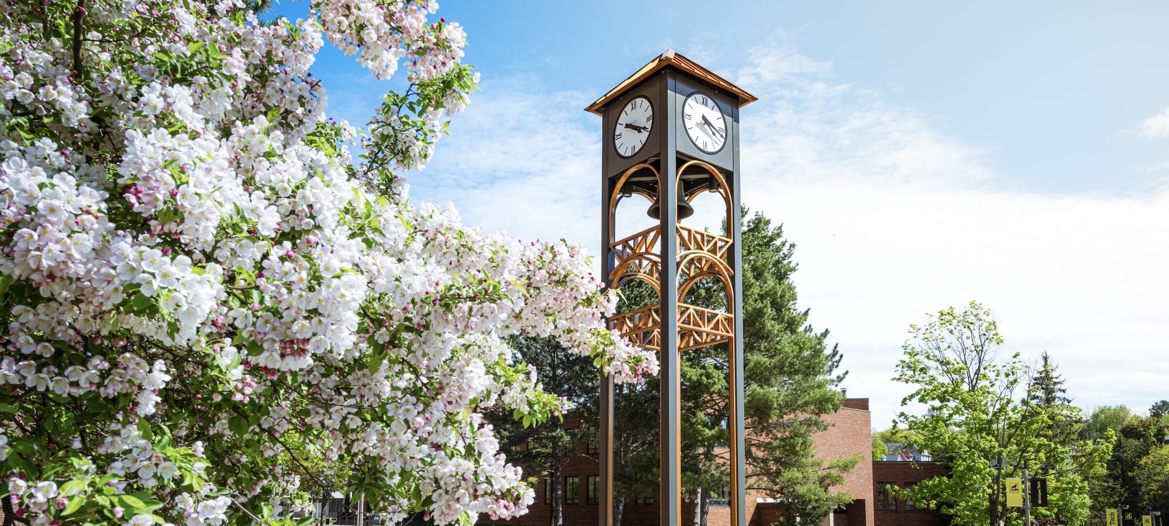 Image of campus clock tower in springtime