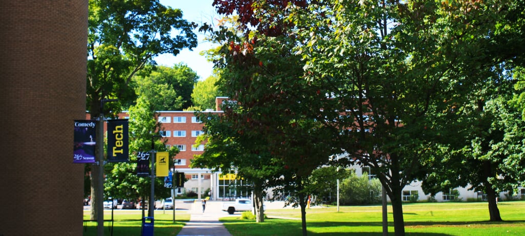 Image of Wadsworth Hall through changing fall leaves