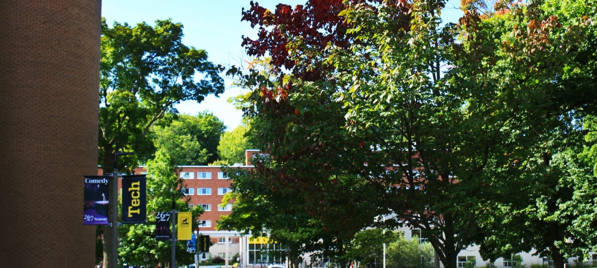 Image of Wadsworth Hall through changing fall leaves
