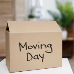 Moving Day