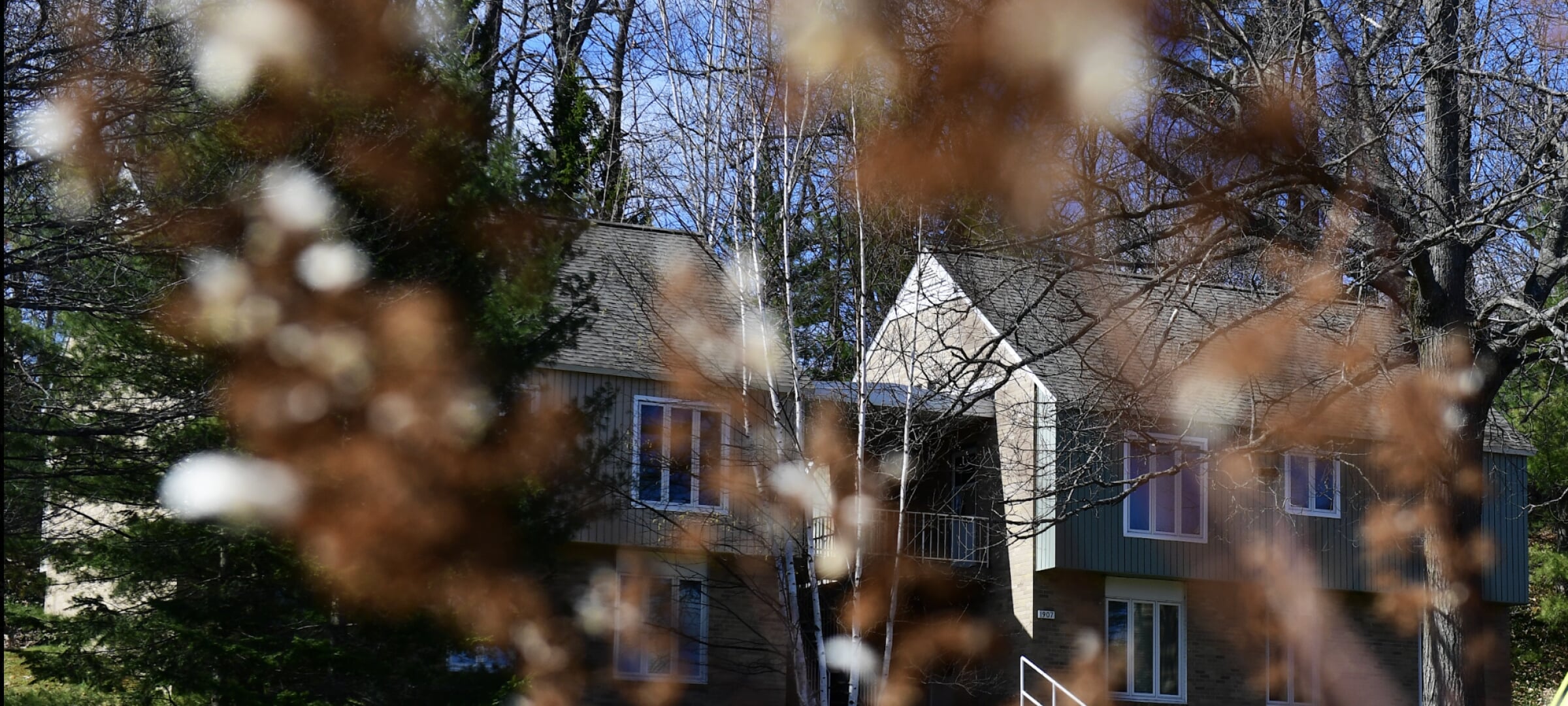 Daniell Heights