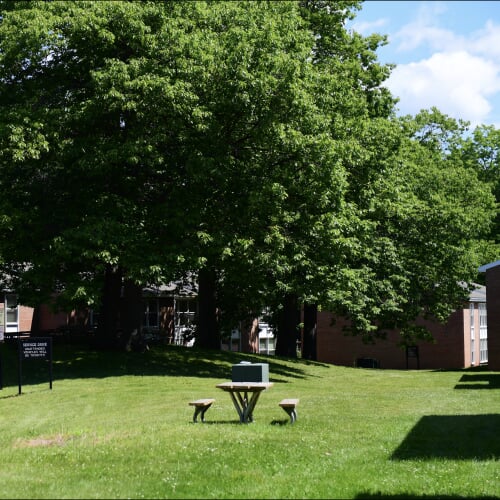 A summer day at Daniell Heights Apartments