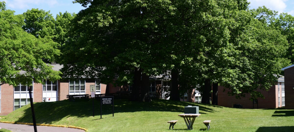A sunny day at Daniell Heights