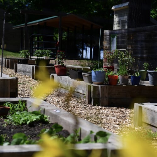 DHA Community Gardens DHA Community Gardens