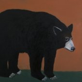 Black bear, acrylic on canvas