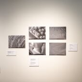 Nanowonder Leon Jaehning