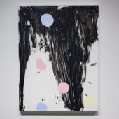 armadillo by Douglas Degges