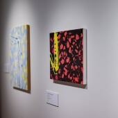 huckleberries with grasshopper leg