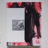 possum opossum by Douglas Degges