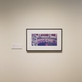 Erin Hoffman Fall 2023