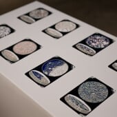 Erin Hoffman Fall 2023