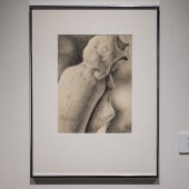 No Fly Zone Kimberly Mullarkey