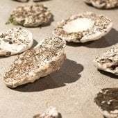 Several round plaster of casts with debris on top.