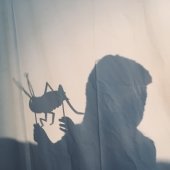 Child performs a play in the shadow puppet theatre.