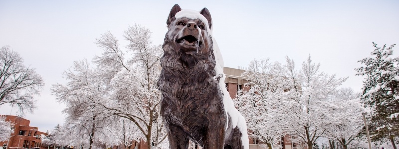 Husky statue, by award-winning sculptor Brian Hanlon, in winter with snow.