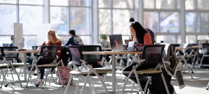 Students studying in library on laptops