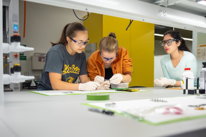 Sciences and Arts Undergrad students in a lab.