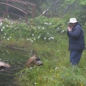 Wooden Loch Ness Monster at the edge of a pond near a scared person.