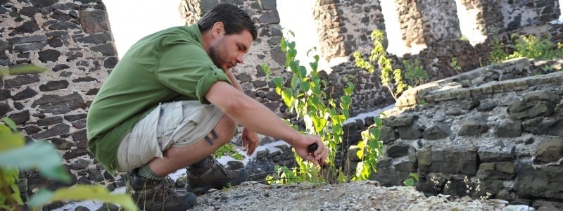 Student digging in an historical area.