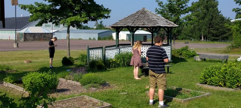 Image of Michigan tech students analyzing a park and entering data into ipads.
