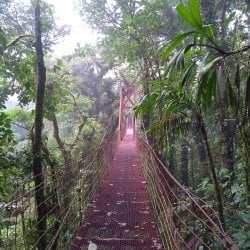 Steel pedestrian bridge in the Costa Rican jungle.