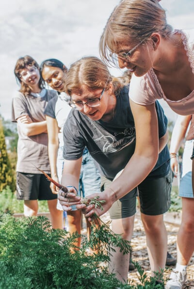 An instructor discusses properties of a healthy carrot plant with students