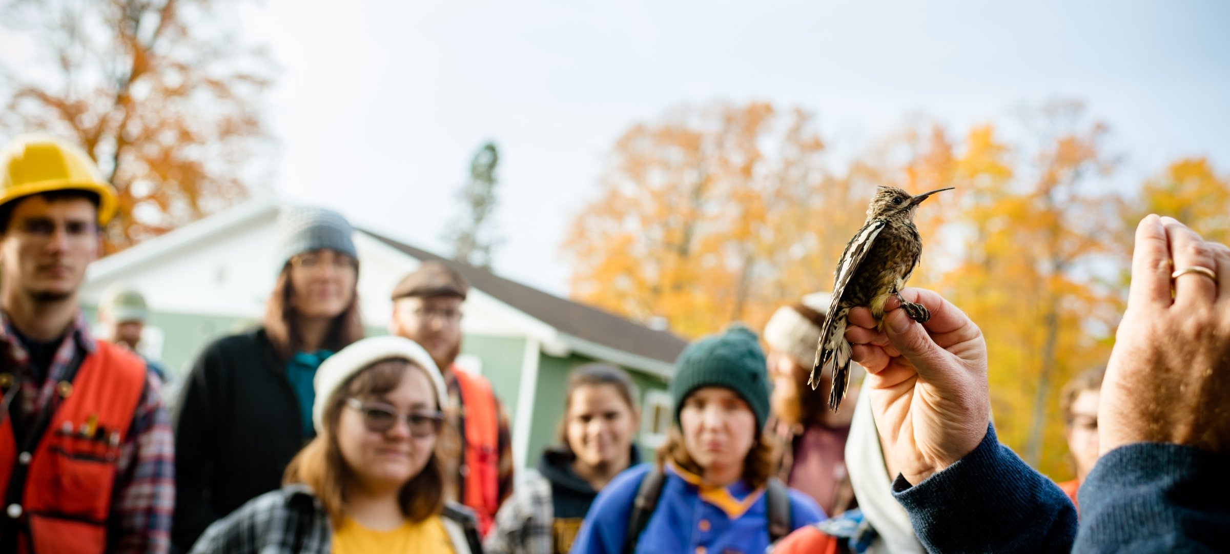students observing a bird being help