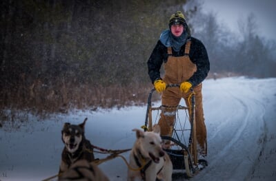 Ben Amsted mushing with a sled and dogs.