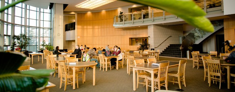 Students in the Library.