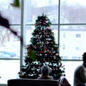 A Christmas tree.