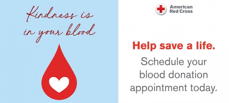 Kindness is in your blood logo encouraging you to schedule an appointment today