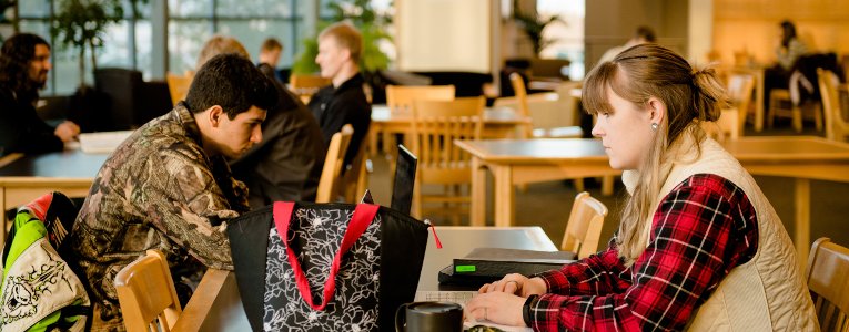 Students working in the library