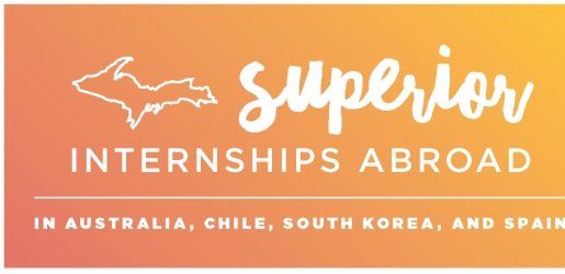 Superior Internships Abroad