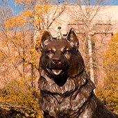 Husky statue